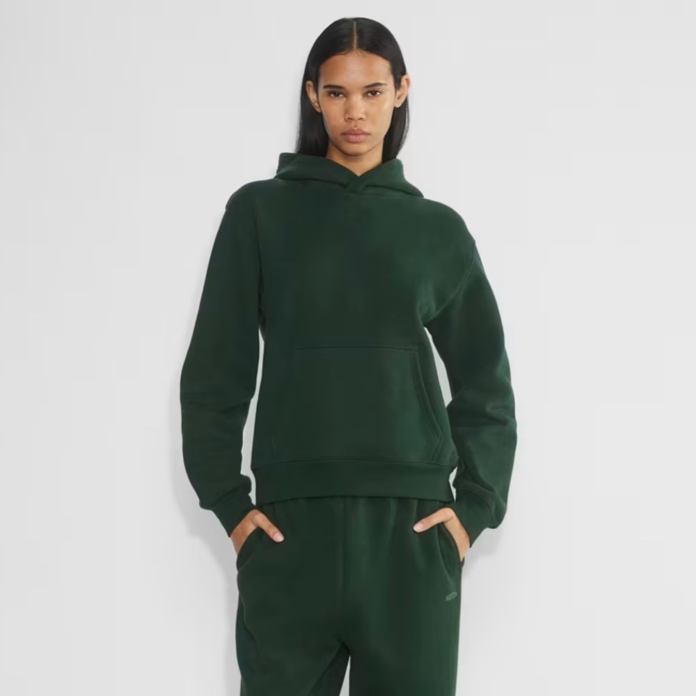 Aritzia Cozy Fleece Perfect Hoodie Scarab Small
